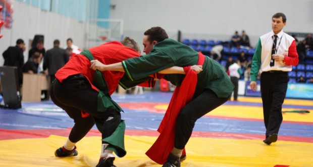 В Санкт-Петербурге хотят сделать соревнования по национальным видам спорта регулярными