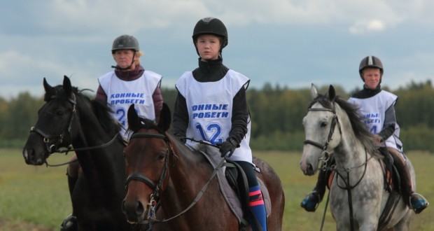 В Нижней Тавде состоятся Международные соревнования по дистанционным конным пробегам памяти Тимура Насырова