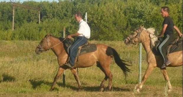 To be or not to be Tatar horses in Tatarstan