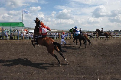 В Камышле пройдут традиционные скачки на кубок района «Большой летний приз-2016″