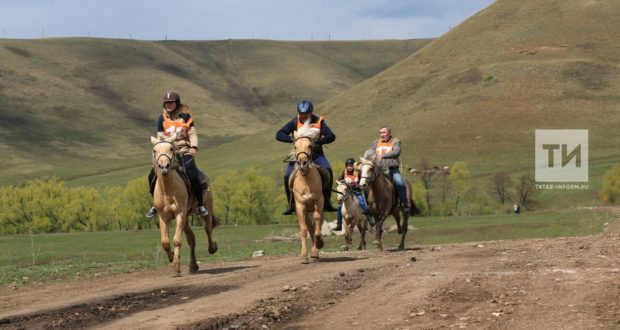 На конных скачках «Бэйге» введут новые виды игр с участием лошадей татарской породы