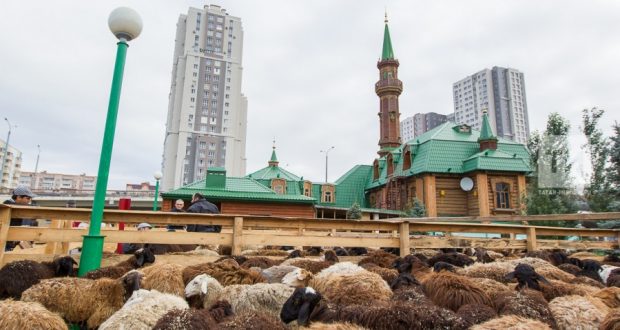 В Татарстане определены места заклания в дни Курбан-байрама