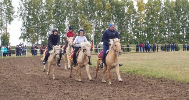 В Арском районе Татарстана отметили «День коня»