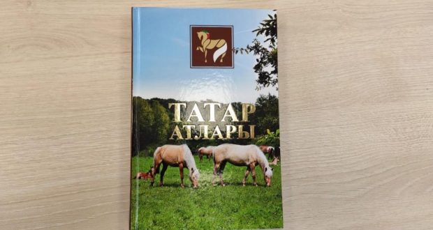 Василь Шайхразиев: “Каждый татарин, имеющий такую возможность, держал коня”