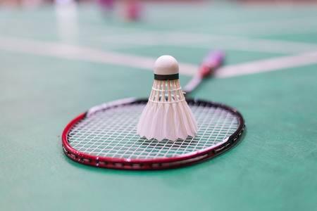 Young Tatar badminton players – winners of the Russian Championship