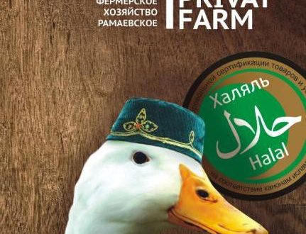 Как в фермерском хозяйстве «Рамаевское» выращивают уток для всей России