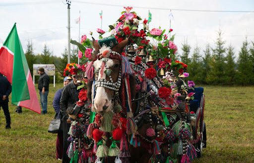 В Арском районе состоится конно-спортивный праздник «День коня»