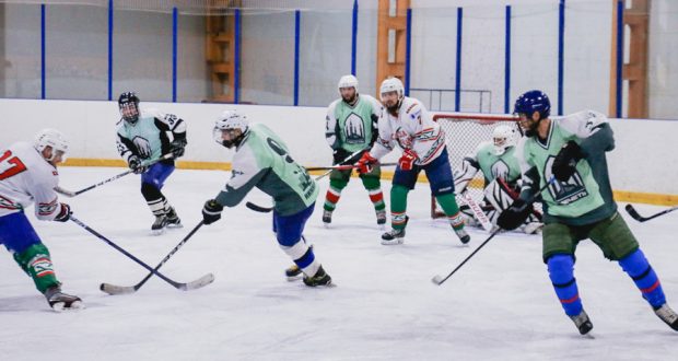 В ледовом дворце Камских Полянах состоялся Республиканский хоккейный турнир среди мусульманских команд