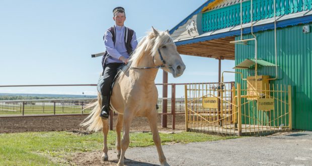 Татарстан впервые проведет конный пробег до Алтая на лошадях татарской породы