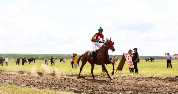 В Казани состоится фестиваль национальных культур и конных традиций России «Созвездие первых»