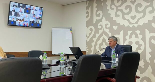 Video conference with representatives of Tatarstan abroad