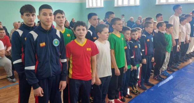 Турнир по татарской борьбе прошёл в Чувашской республике